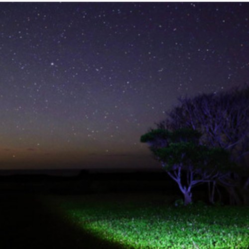 星空の画像