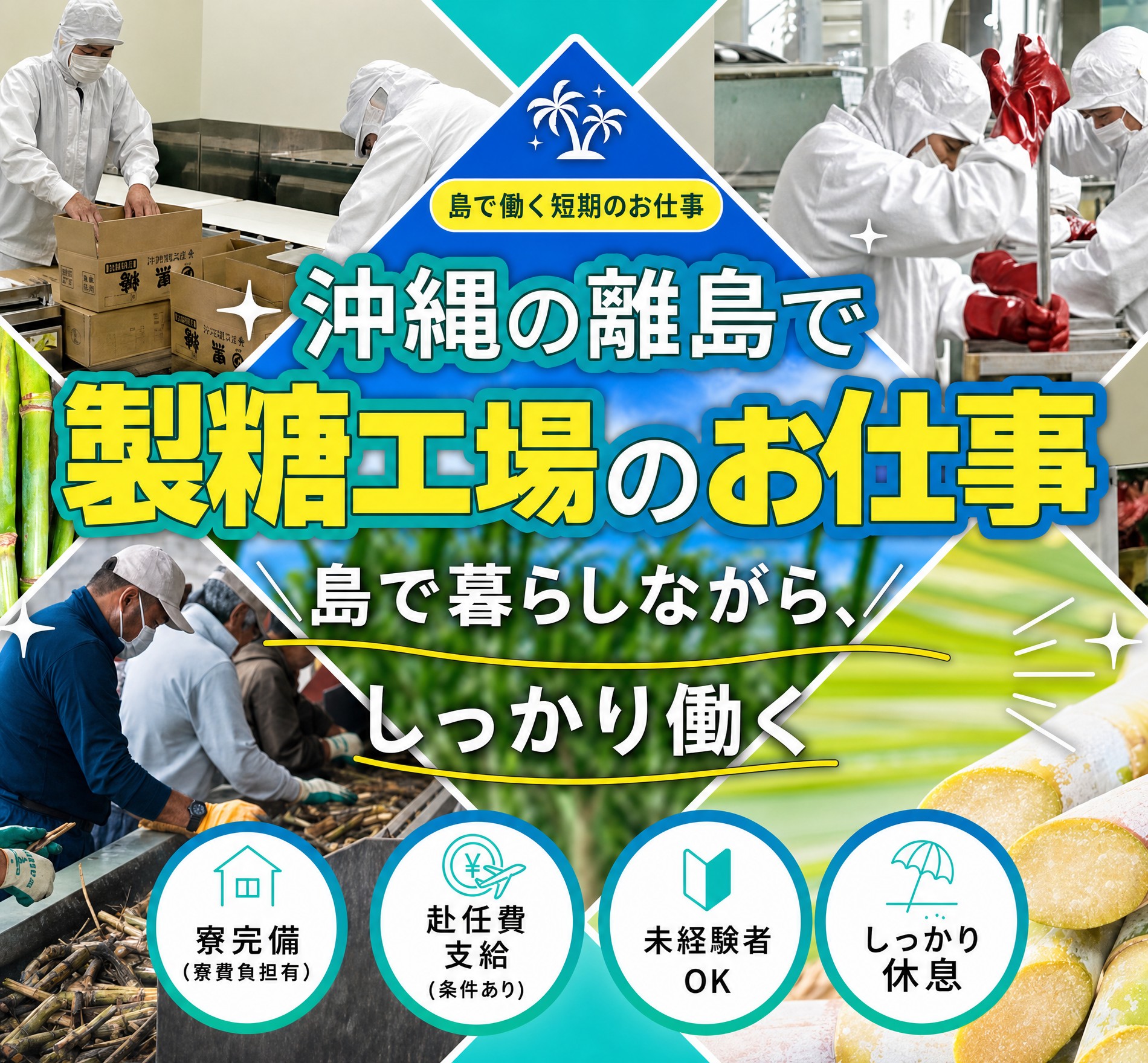 製糖工場でのお仕事